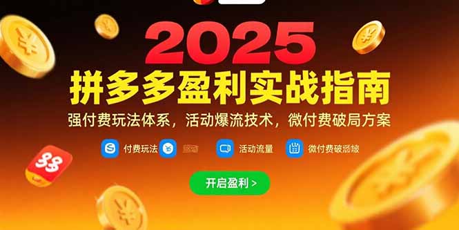 拼多多盈利实战指南，强付费玩法，活动爆流技术，微付费破局方案(更新7月-网创资源总站