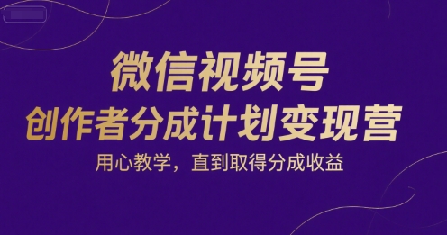 微信视频号创作者分成计划变现营，用心教学，直到取得分成收益-网创资源总站