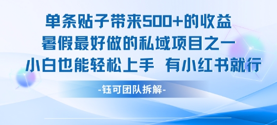 单条贴子带来5张的收益，暑假最好做的私域项目之一，小白也能轻松上手，有小红书就行-网创资源总站