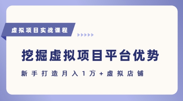 抓住虚拟项目各平台优势，新手轻松月入1W+(给出具体建议)-网创资源总站