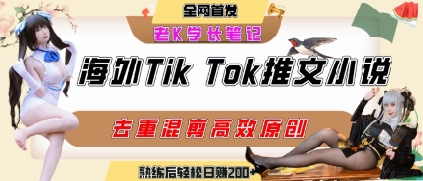 海外tiktok小说推文暴力项目，高停留率，高转化率，上手后一天搞顿饭钱不是问题-网创资源总站