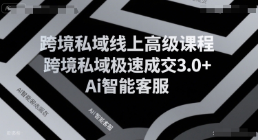 跨境私域线上高级课程，跨境私域极速成交3.0+Ai智能客服-网创资源总站
