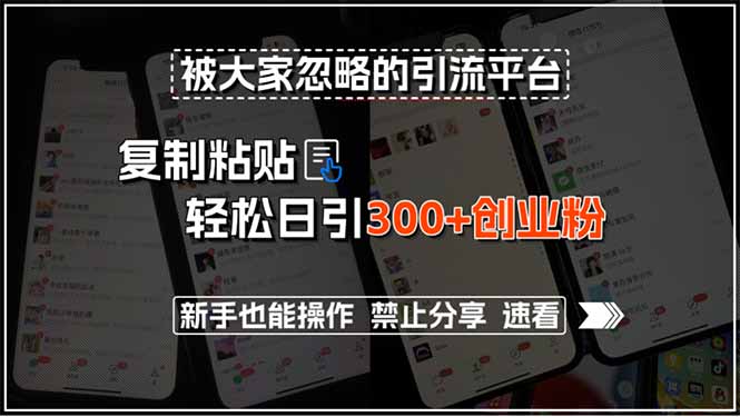 被大家忽略的引流平台，复制粘贴轻松日引300+创业粉，新手也能操作，禁…-网创资源总站