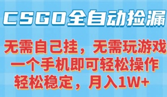 CSGO自动捡漏项目，最新独家玩法，一个手机可操作，新手小白轻松月入1W+，操作简单易上手【揭秘】-网创资源总站