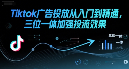 Tiktok广告投放从入门到精通，三位一体加强投流效果-网创资源总站