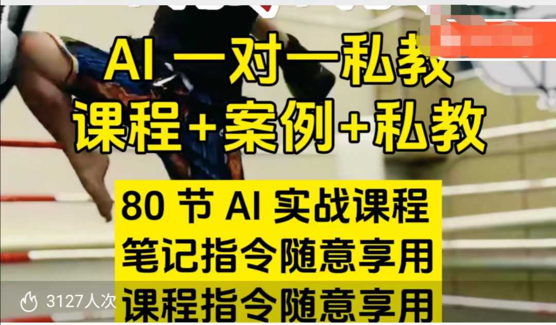 AI指令实战课，课程+案例，80节AI实战课程，笔记指令随意享用，课程指令随意享用(更新7月)-网创资源总站