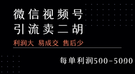 视频号卖二胡教程，利润大 易成交 售后少，一单利润5张+-网创资源总站