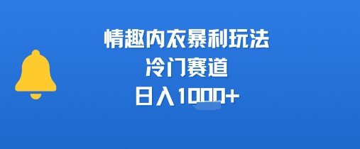 情趣内衣暴利玩法，冷门赛道，日入1k+-网创资源总站