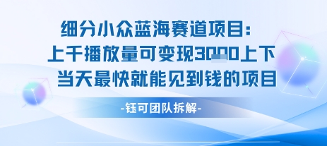 小众蓝海赛道项目：当天变现1k+适合新手操作 +适合长期玩-网创资源总站
