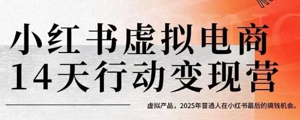 小红书虚拟电商14天变现训练营，虚拟产品，2025年普通人在小红书最后的搞钱机会-网创资源总站