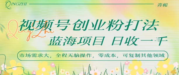 视频号创业粉打法，日入1k，蓝海项目，市场需求大，全程无脑操作，可复制-网创资源总站
