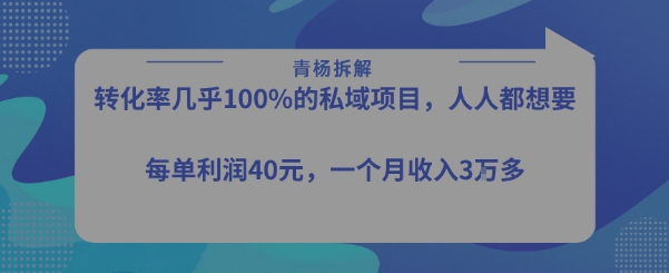 转化率最高的私域项目，每单利润40-50米，月入过1w-网创资源总站