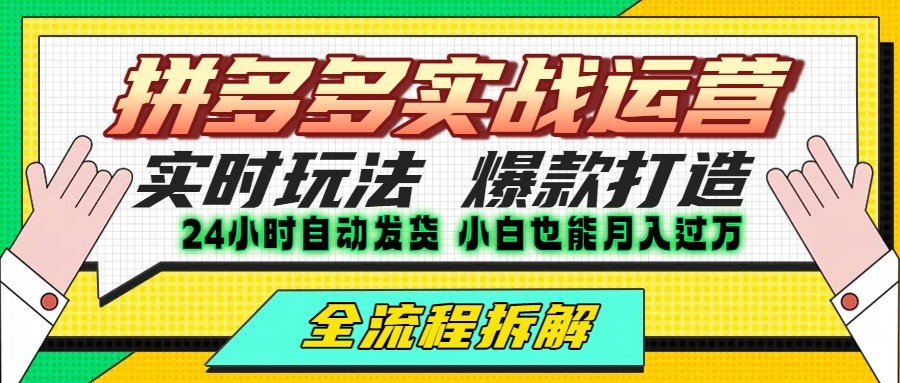 拼多多最新实战运营高投产：长久稳定项目，单店利润一天三位数-网创资源总站