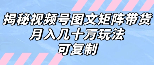 解密视频号图文矩阵带货，月入几个W的打法，可复制-网创资源总站