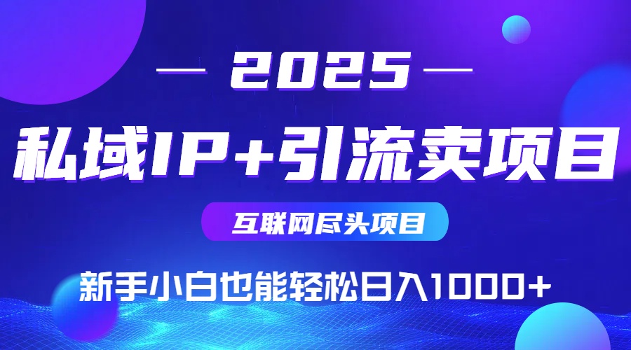 2025网创尽头项目，私域IP+引流，新手小白也能在家日入1000+-网创资源总站