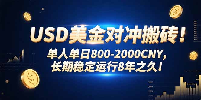 USD美金对冲搬砖!单人单日800-2000CNY，长期稳定运行8年之久!-网创资源总站