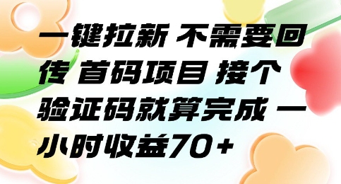 一键拉新 不需要回传 首码项目 接个验证码就算完成 一小时收益70+【揭秘】-网创资源总站