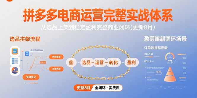 拼多多电商运营完整实战体系，从选品上架到稳定盈利完整商业闭环(更新8月-网创资源总站