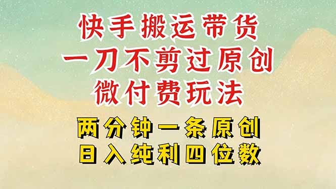 快手黑科技搬运带货，一刀不剪过原创，微付费投流玩法，轻松日入四位数…-网创资源总站