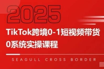 TikTok跨境0-1短视频带货，系统拆解TikTok跨境带货全链路，实现跨境可持续盈利-网创资源总站