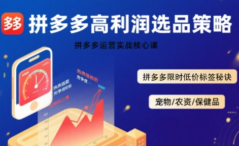 拼多多选品暴利技术实战课，拼多多高利润选品策略，拼多多限时低价标签秘诀-网创资源总站