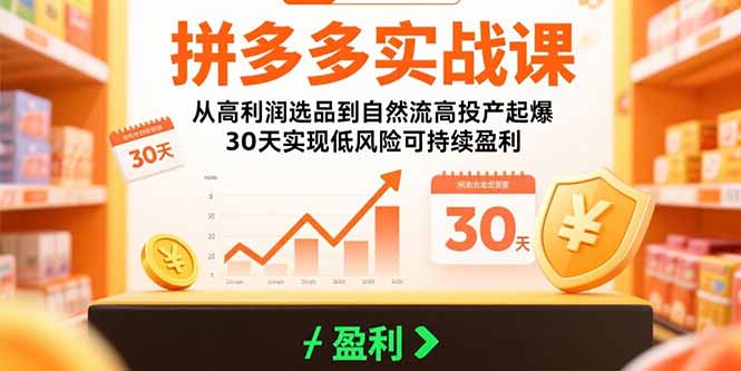 拼多多实战课：从高利润选品到自然流高投产起爆 30天实现低风险可持续盈利-网创资源总站