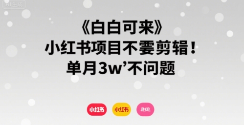 小白可来 小红书项目不需要剪辑 单月3w不是问题-网创资源总站