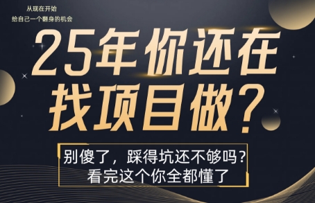 25年，你还在疯狂的找项目吗？别傻了，看完这个你都懂了【揭秘】-网创资源总站