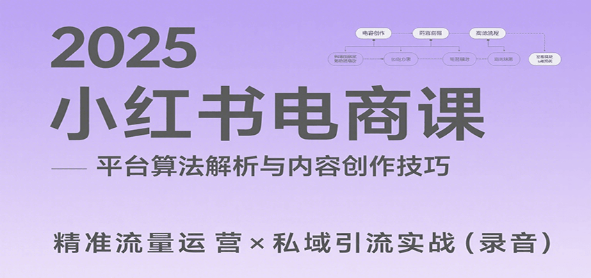 2025小红书电商课：解析算法，创作高转化内容，助力卖家获取流量实现变现(录音)-网创资源总站