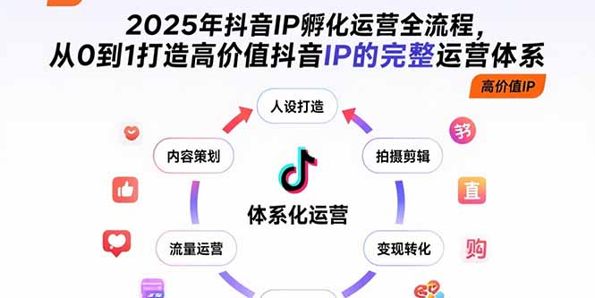2025年抖音IP孵化运营全流程，从0到1打造高价值抖音IP的完整运营体系-网创资源总站