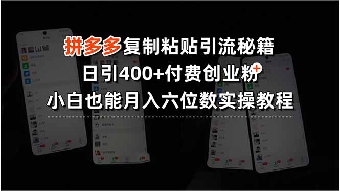 拼多多复制粘贴引流秘籍，日引400+付费创业粉，小白也能月入六位数实操…-网创资源总站