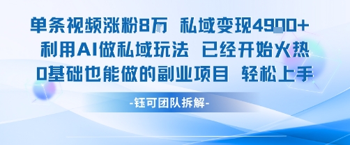 单条视频私域变现4.9k+利用AI做私域玩法 已经开始火热0基础也能做的副业项目轻松上手-网创资源总站