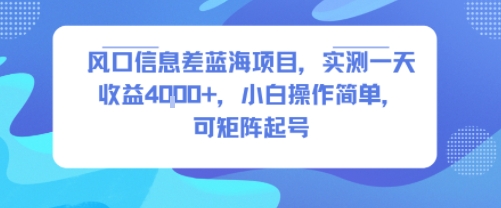 风口信息差蓝海项目，实测一天收益4k+，小白操作简单，可矩阵起号-网创资源总站