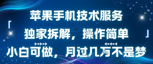 苹果手机技术服务，独家拆解，操作简单，小白可做，月过1W不是梦-网创资源总站