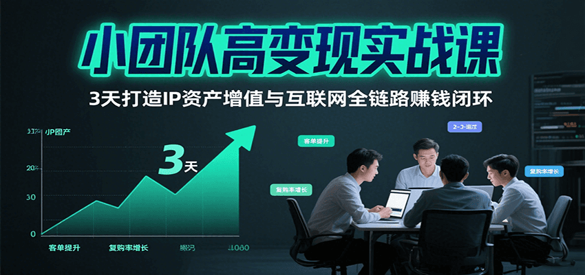 小团队高变现实战课，3天打造IP资产增值与互联网全链路赚钱闭环(第二期)-网创资源总站