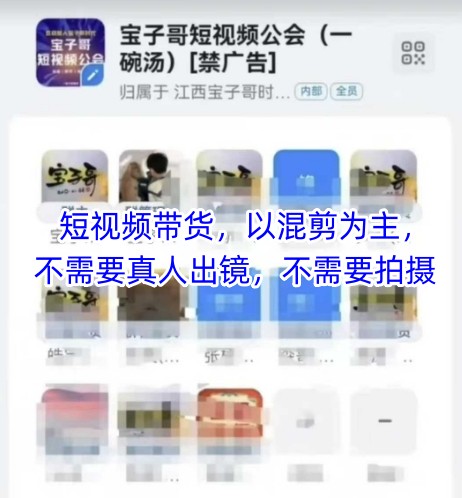 宝子哥头部团队短视频带货，以混剪为主，不需要真人出镜，不需要拍摄【更新8月】-网创资源总站