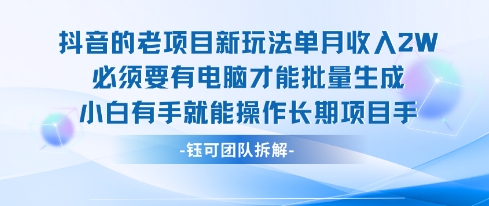 老项目新玩法单月收入2W小白有手就能操作长期项目-网创资源总站