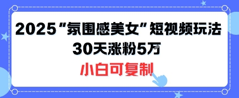 不露脸也能火！2025“氛围感美女”短视频玩法，30天涨粉5W小白可复制-网创资源总站
