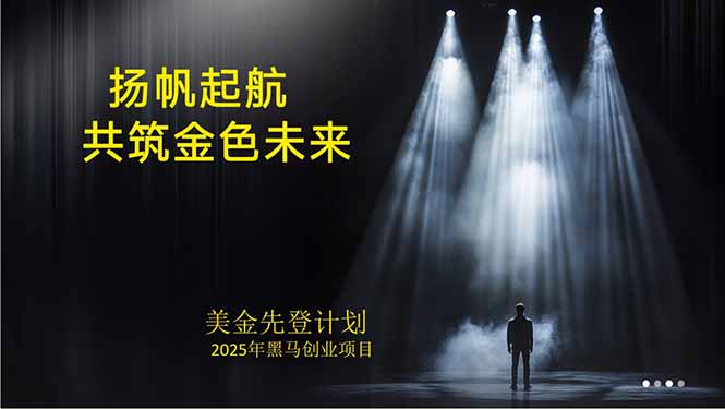 美金对冲创业项目，日收益1000-3000，小众暴力项目稳定运行8年-网创资源总站