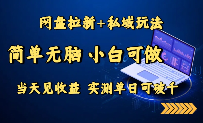 网盘拉新+私域玩法，简单无脑，小白可做，当天见收益，实测单日可破千-网创资源总站
