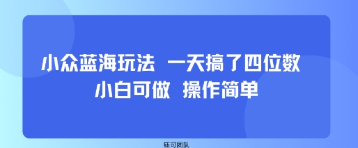 小众蓝海玩法 一天搞了四位数 小白可做 操作简单-网创资源总站