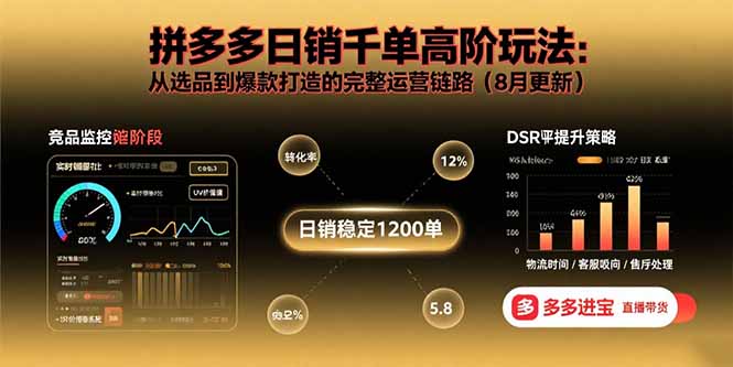 拼多多日销千单高阶玩法：从选品到爆款打造的完整运营链路(8月更新-网创资源总站