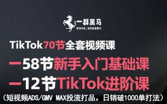 TikTok全套视频课，新手入门+进阶课，短视频ADS-GMV MAX投流打品，日销破1000单打法-网创资源总站